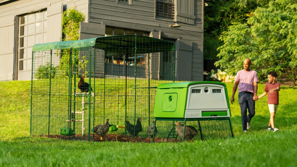 Walk-In Run Omlet enclos poulailler jardin