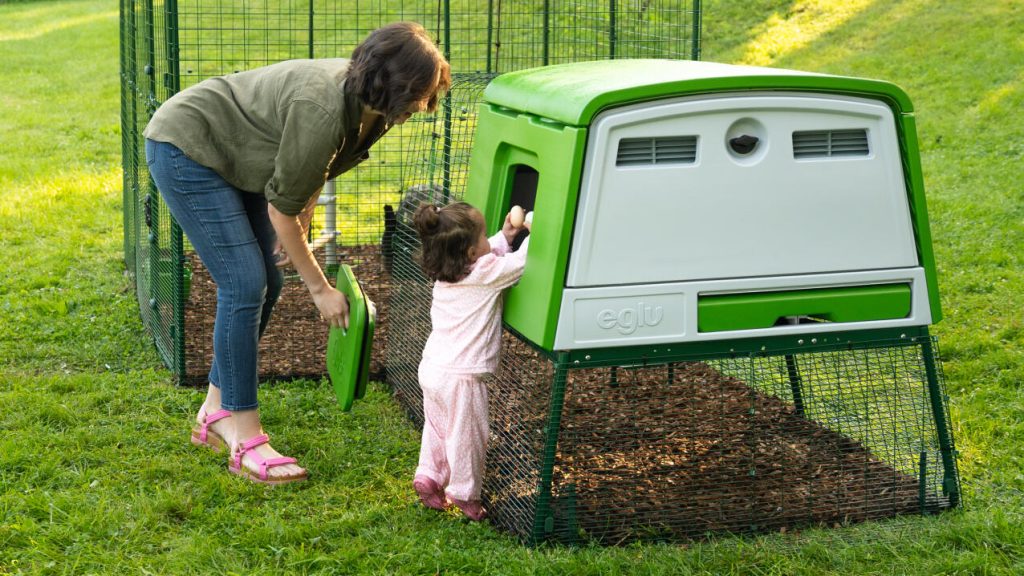 Meilleur poulailler pour jardin famille Omlet 2025