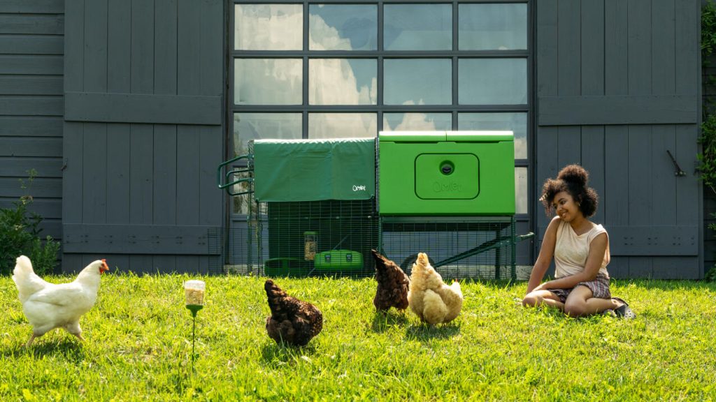 Poulailler Eglu Cube Omlet meilleur poulailler jardin 2025