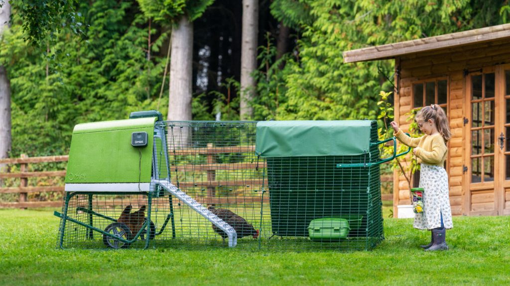 Poulailler Eglu Go Omlet débutant jardin