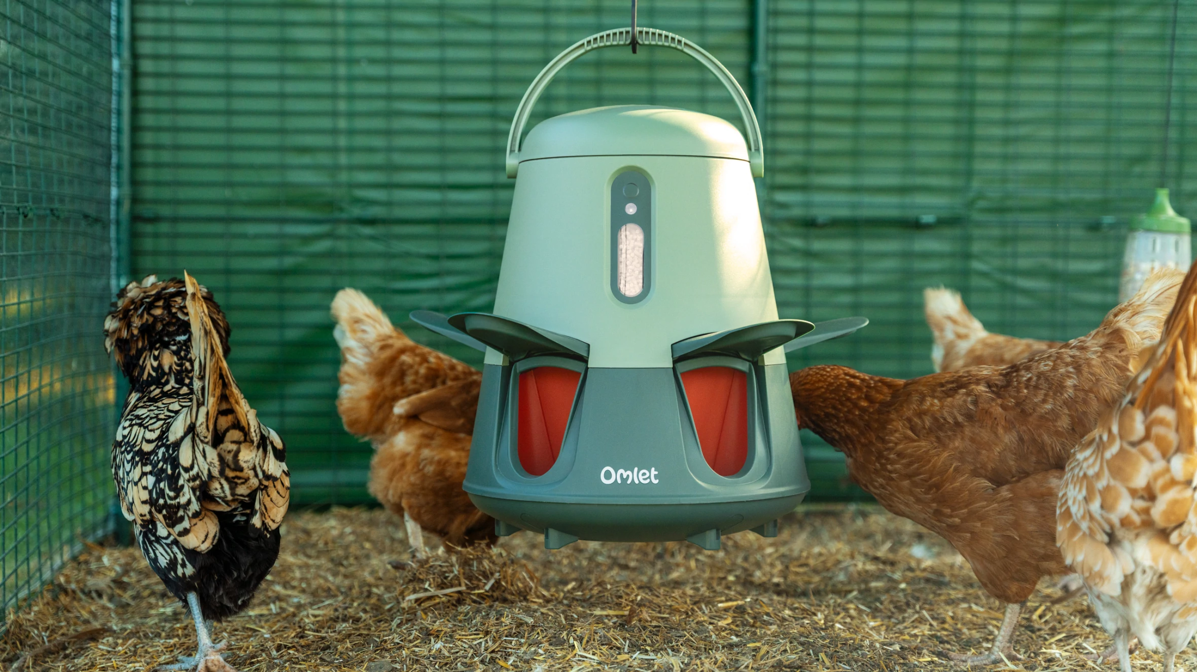 Accessoires poules Omlet
